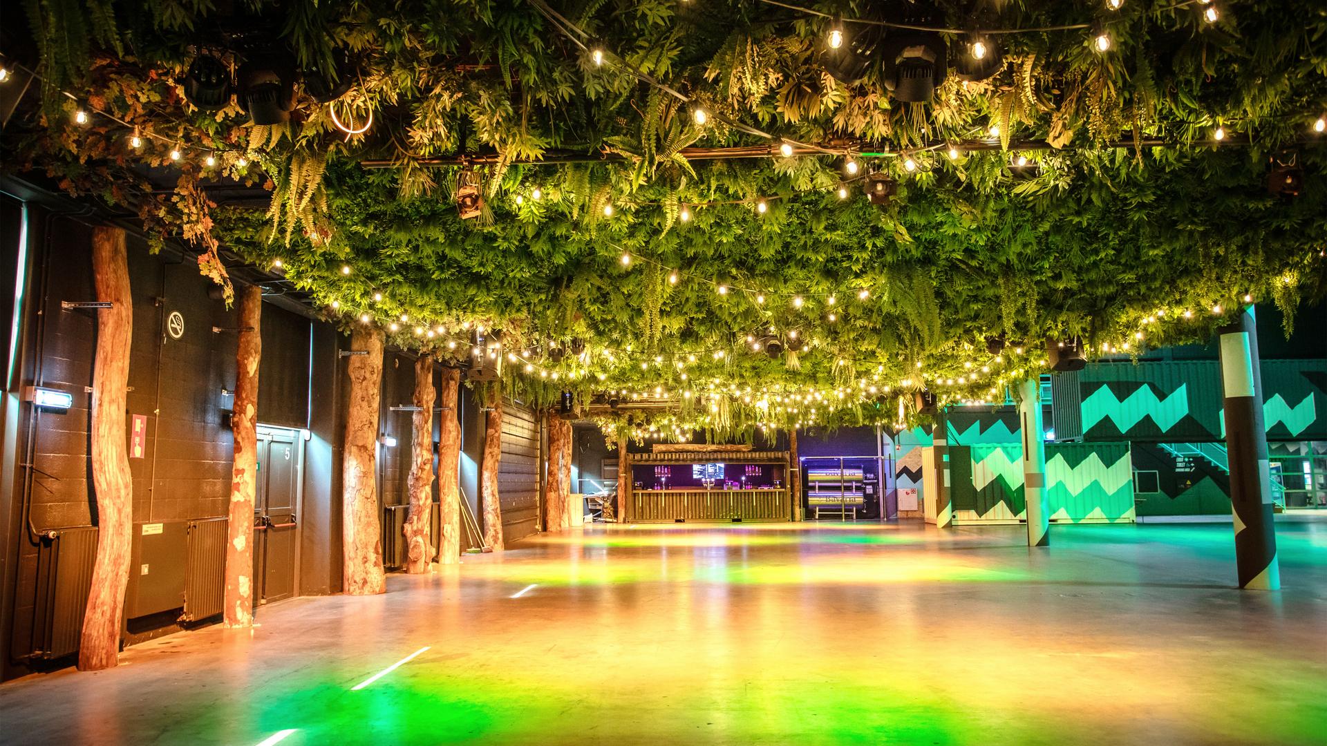 Jet Wash7 illuminates the Vibes' Urban Garden room
