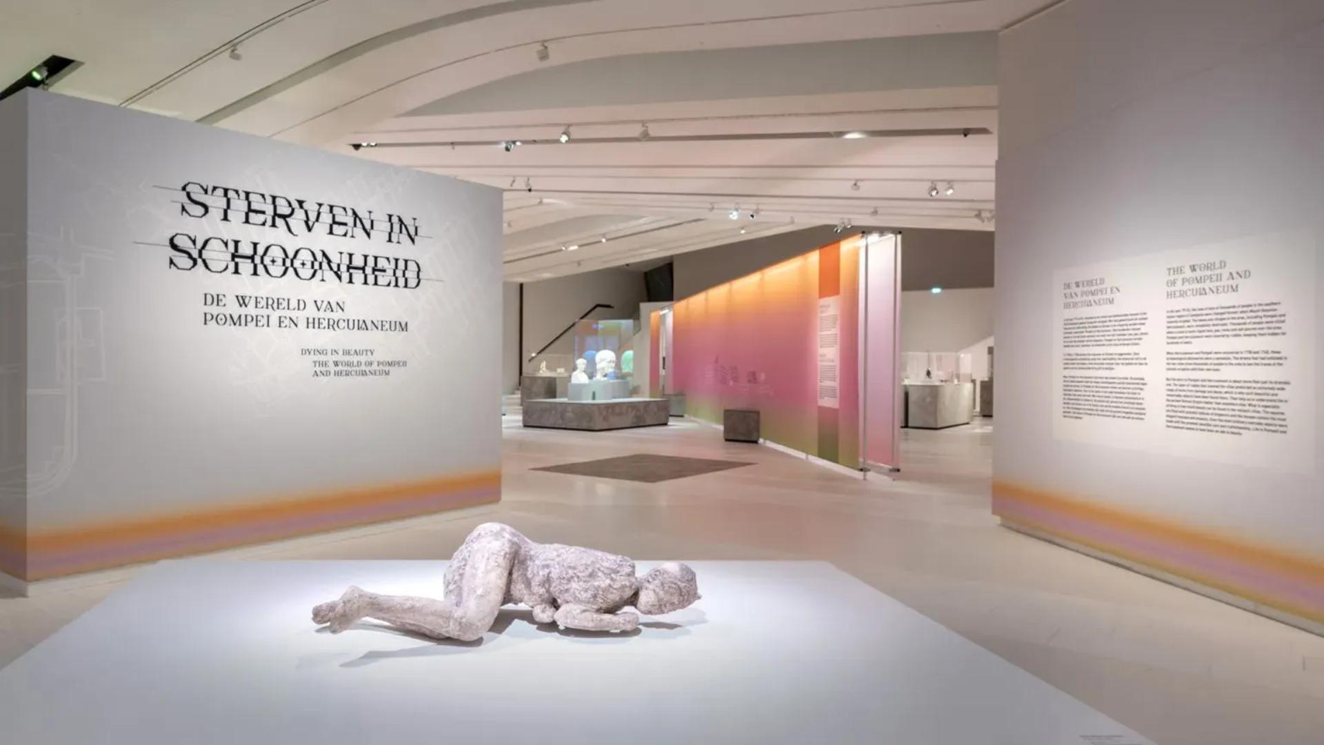 PROLIGHTS DisplayCob FC illuminate the “Dying in Beauty” exhibition 
