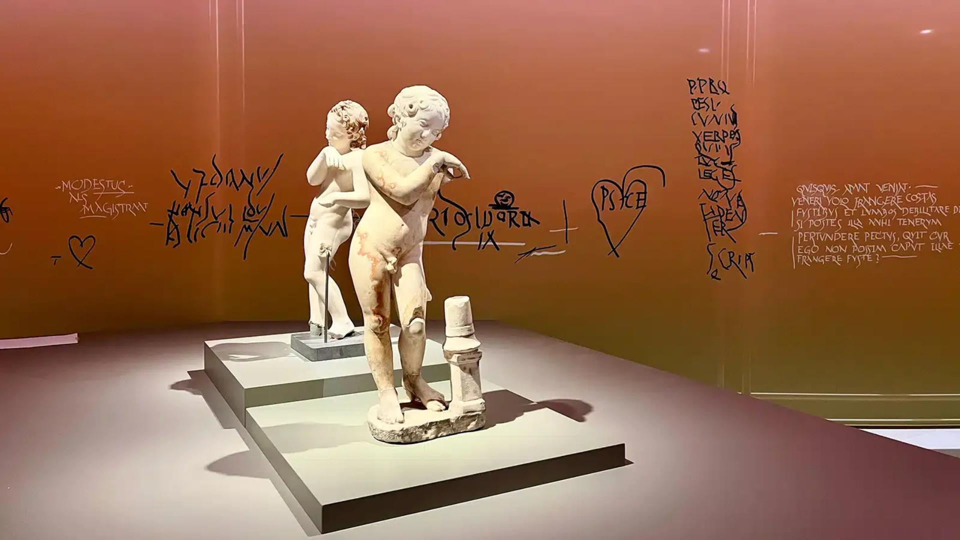 PROLIGHTS DisplayCob FC illuminate the “Dying in Beauty” exhibition 
