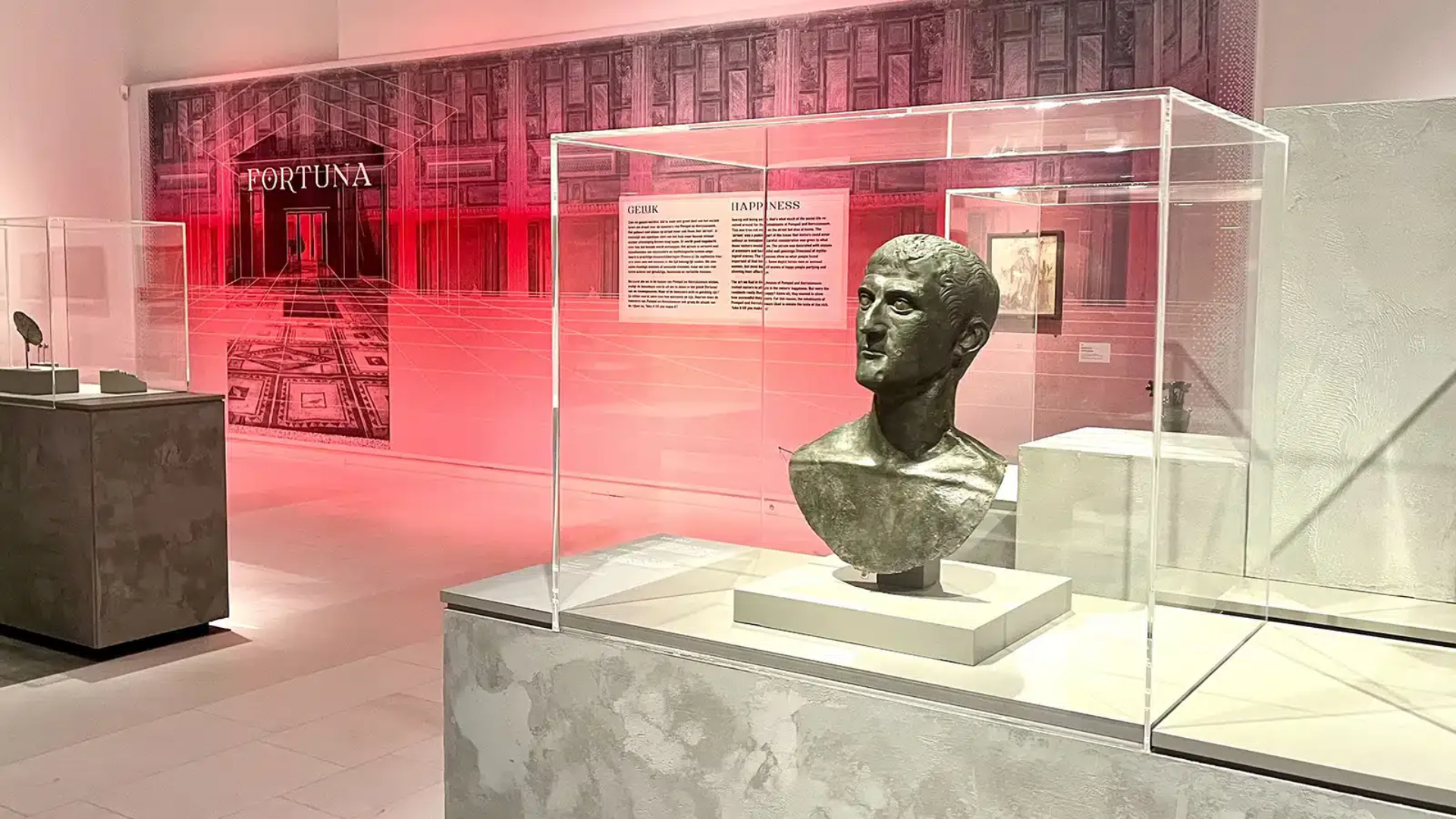 PROLIGHTS DisplayCob FC illuminate the “Dying in Beauty” exhibition 
