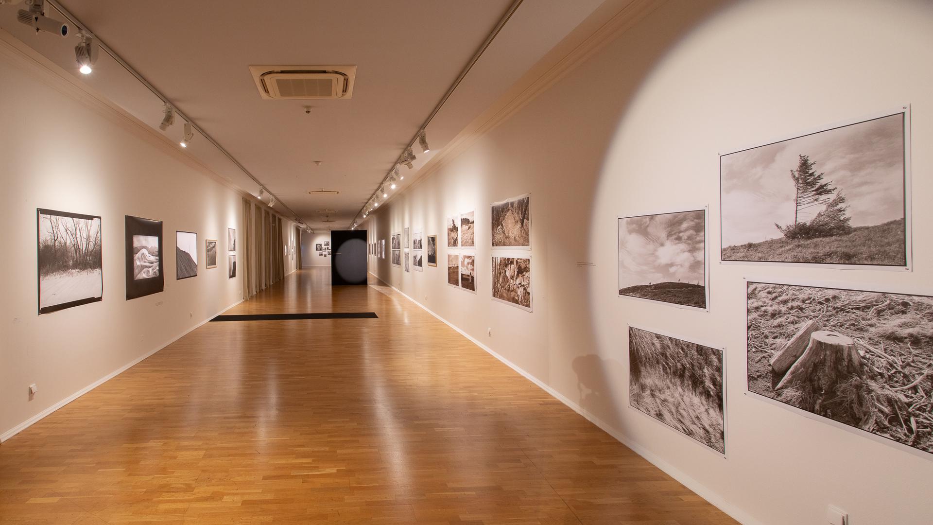 Gli EclDisplay fanno risplendere la Galleria della Slovacchia Orientale di Košice

