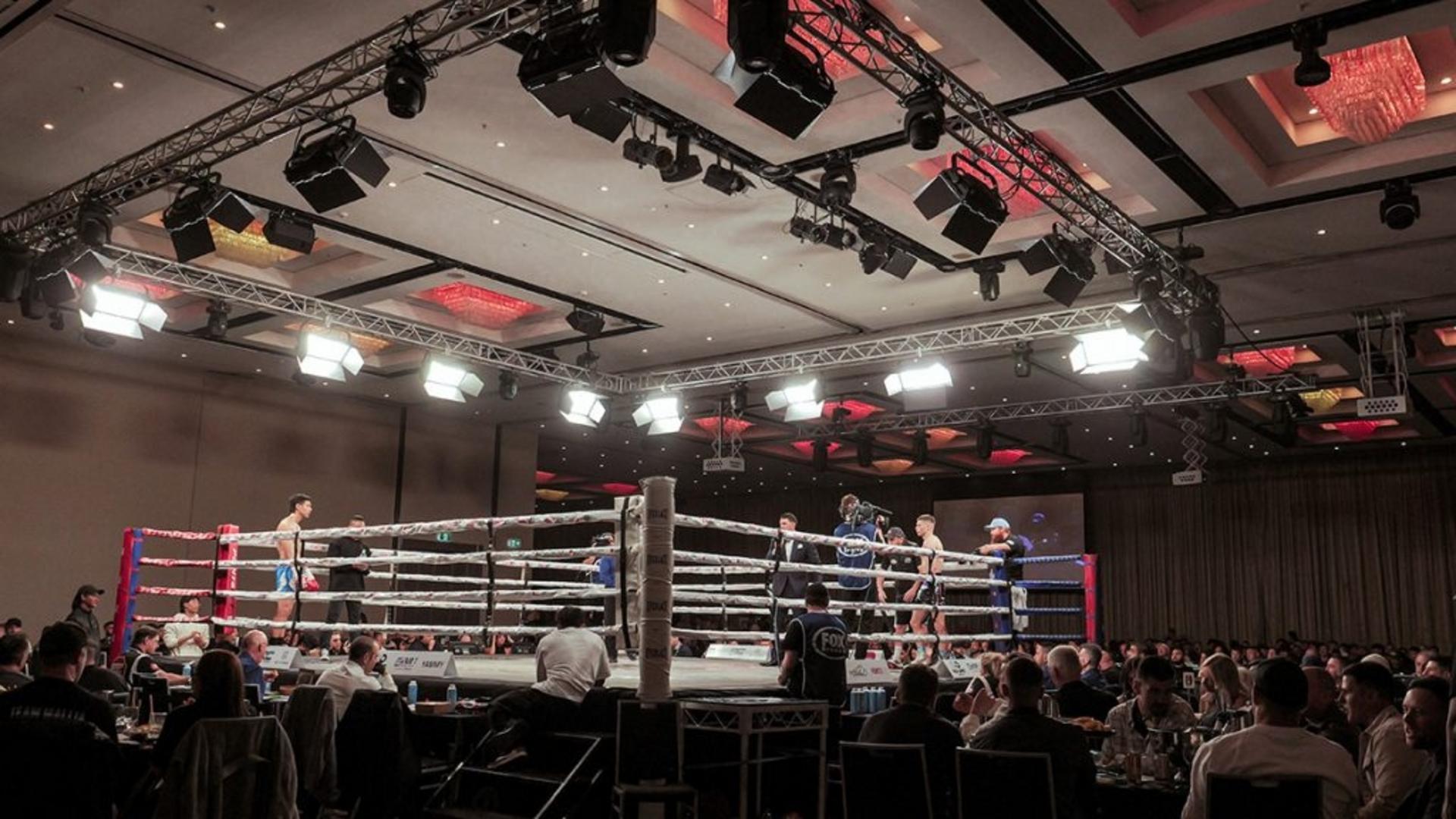 PROLIGHTS fa colpo sul ring di No Limit Boxing con EclPanel TWC
