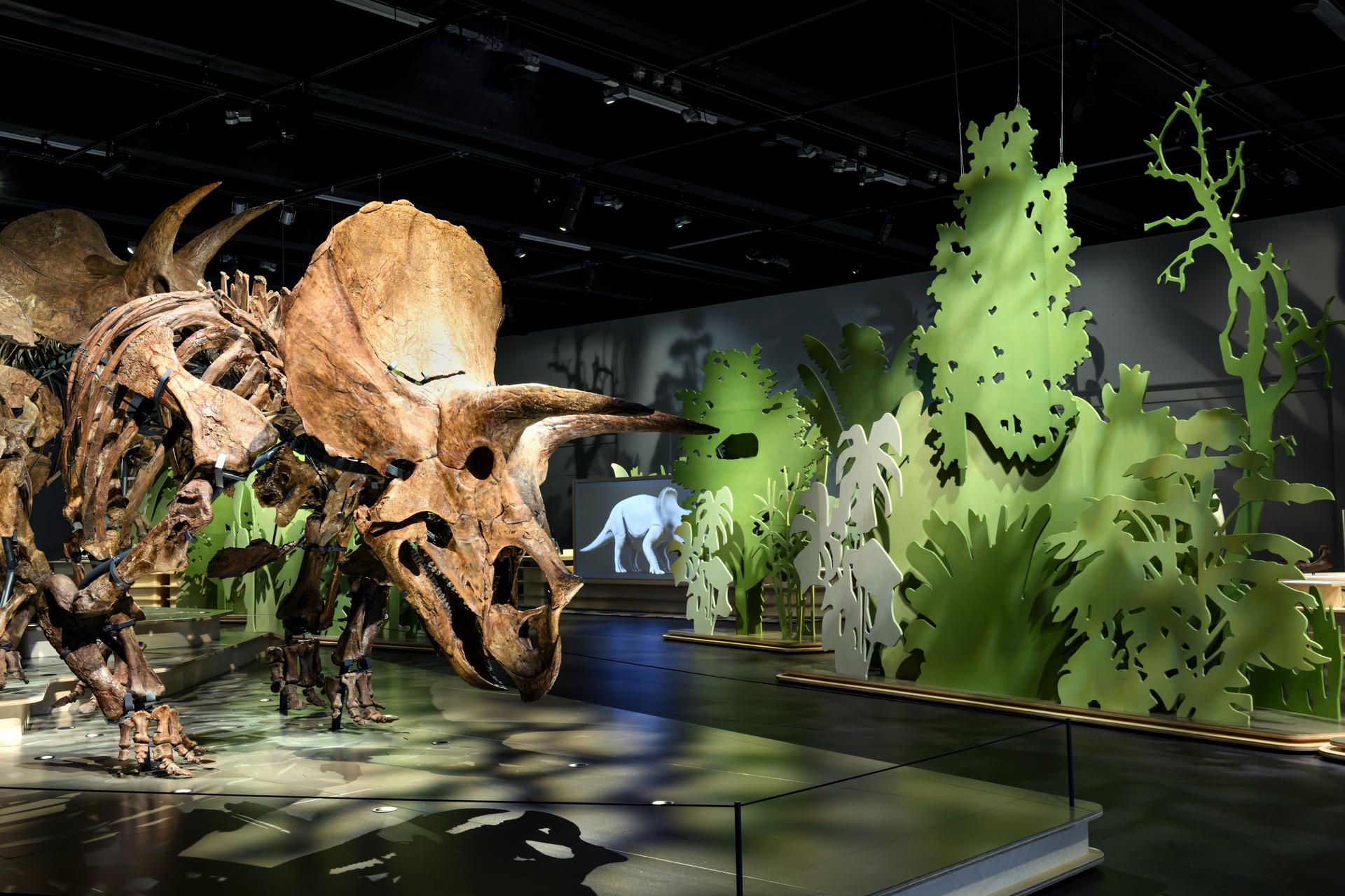 I Proiettori PROLIGHTS Illuminano i Dinosauri al Naturalis Biodiversity Center